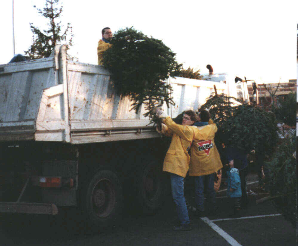 Aufladen der B�ume am Sammelplatz in Steinborn